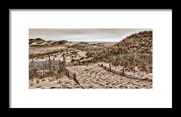 Dunes Framed Print featuring the photograph Cape Cod Dunes by Fred LeBlanc