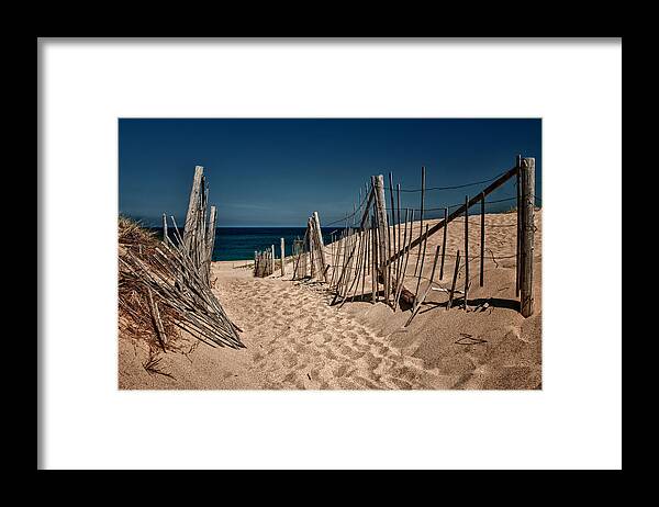  Framed Print featuring the photograph Cape Cod Pathway by Fred LeBlanc