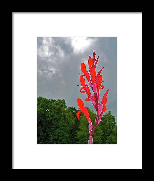 Canna Framed Print featuring the photograph Capitalizing on Clouds by Randy Rosenberger