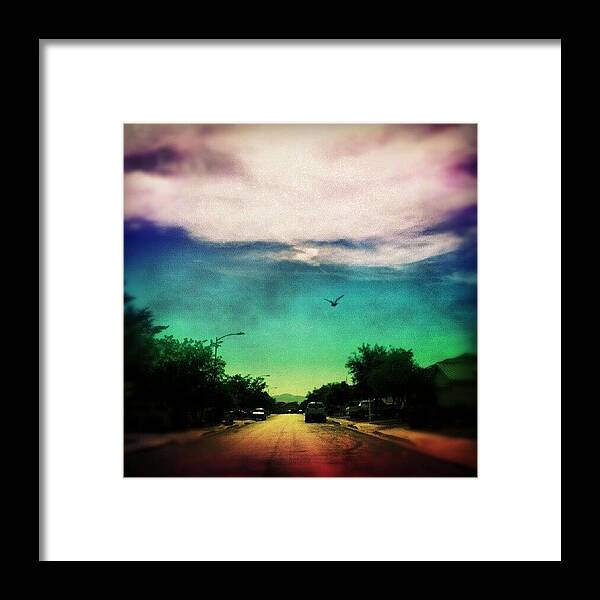 Art Framed Print featuring the photograph Caught A Bird Flying In Front Of Me by Adam Snow