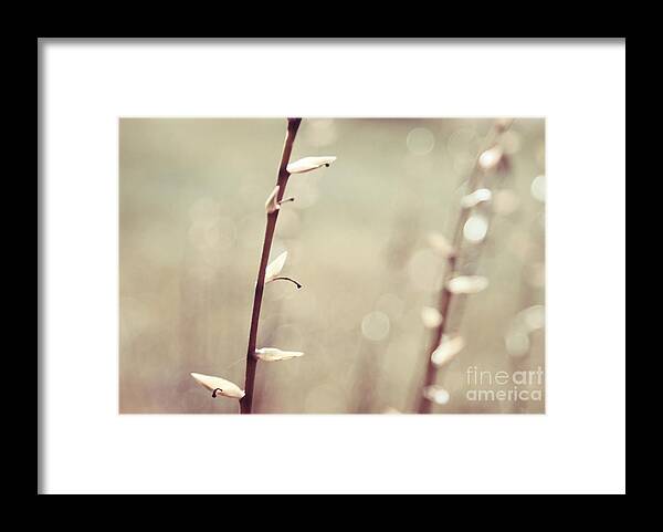 Plants Framed Print featuring the photograph Ceci et cela - s08a - Beige by Variance Collections