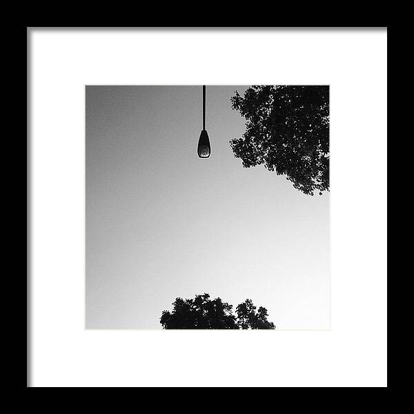 Silhouette Framed Print featuring the photograph Ceiling Bulb? #lamppost #trees #nature by Gabriel Kang