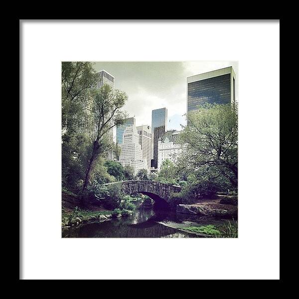 Summer Framed Print featuring the photograph Central Park by Randy Lemoine