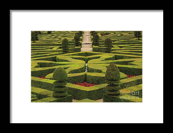 Ornamental Framed Print featuring the photograph Chateau de Villandry by Louise Heusinkveld