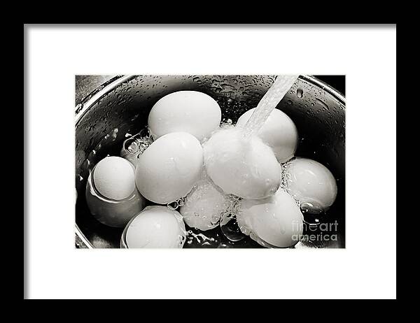 Eggs Framed Print featuring the photograph Chill Out by Andee Design