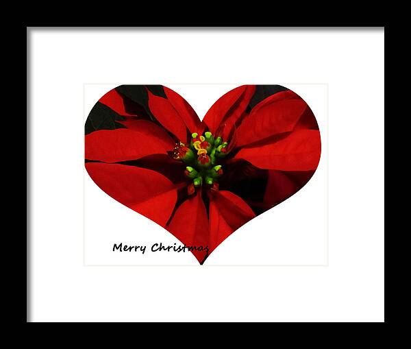 Christmas Framed Print featuring the photograph Christmas Greetings by Vijay Sharon Govender