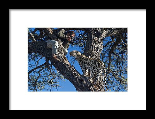 Close Framed Print featuring the photograph Close Encounter Namibia by David Kleinsasser