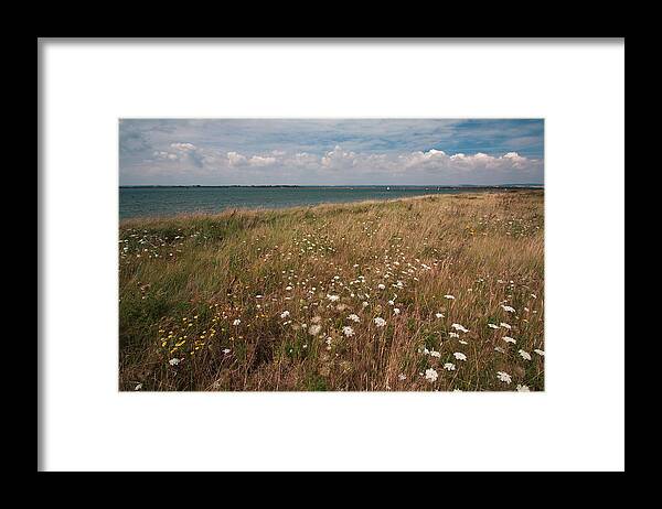 West Wittering Framed Print featuring the photograph Coastal Flowers by Shirley Mitchell