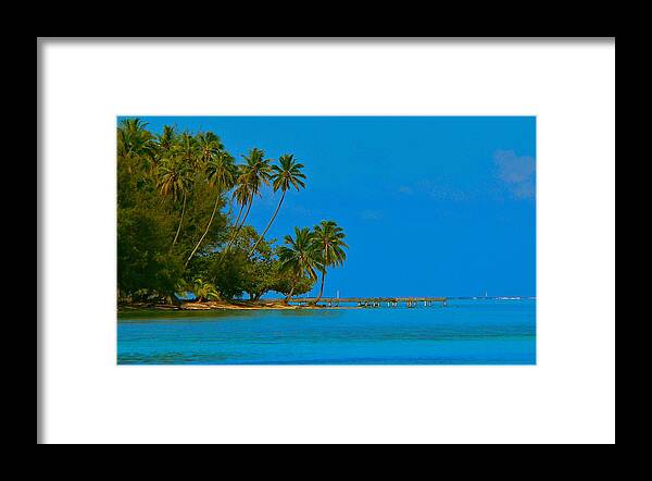 French Polynesia Framed Print featuring the photograph Coconuts Anyone by Eric Tressler