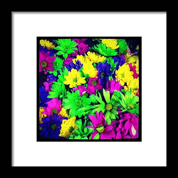 Noeffects Framed Print featuring the photograph Colorful Flowers by Kristina Parker