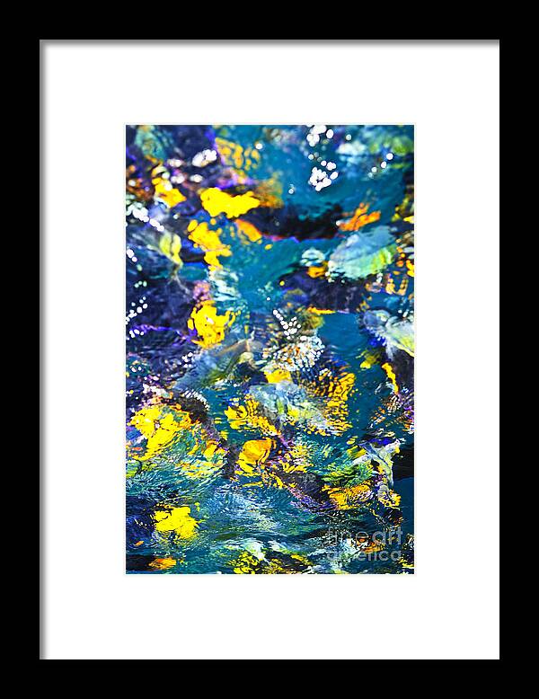 Fish Framed Print featuring the photograph Colorful tropical fish by Elena Elisseeva