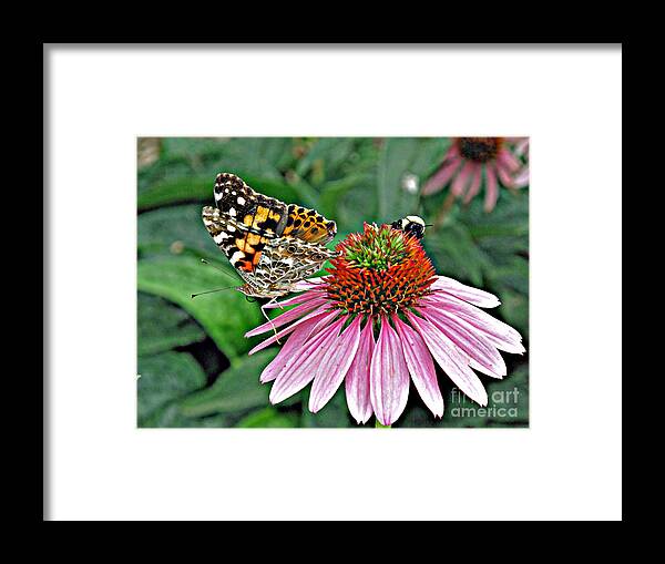 Flowers And Insects Framed Print featuring the photograph Coming and Going by Louise Peardon