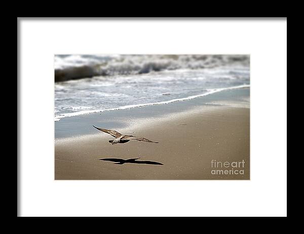 Seagull Framed Print featuring the photograph Coming In For Landing by Henrik Lehnerer