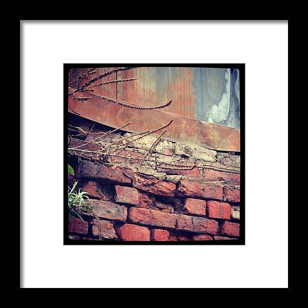  Framed Print featuring the photograph Contrasting Materials by Chris Jones