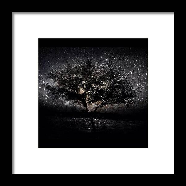 Instagram Framed Print featuring the photograph Cosmic Tree #instagram #editjunky by Abid Saeed