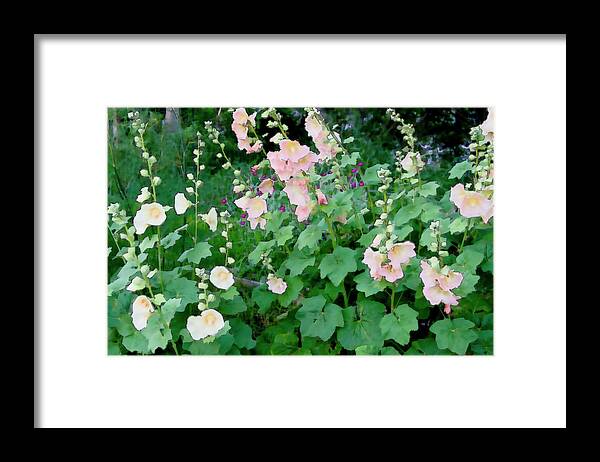 Garden Framed Print featuring the photograph Country Garden - soft by ShaddowCat Arts - Sherry