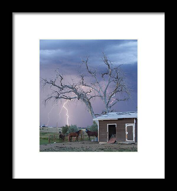 Country Framed Print featuring the photograph Country Horses Lightning Storm NE Boulder County CO 66V by James BO Insogna
