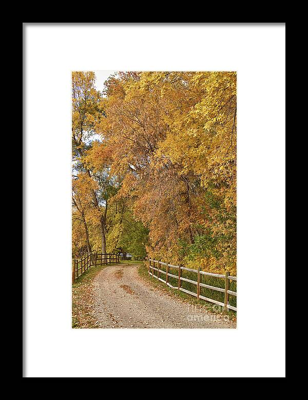 Roads Framed Print featuring the photograph Country Ranch Road Autumn Portrait by James BO Insogna