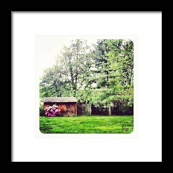 Pink Framed Print featuring the photograph 🎀country Side Love 🎀 by Roberta Robedeau