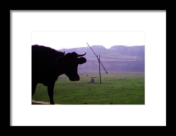 Bells Framed Print featuring the photograph Cow and well by Emanuel Tanjala