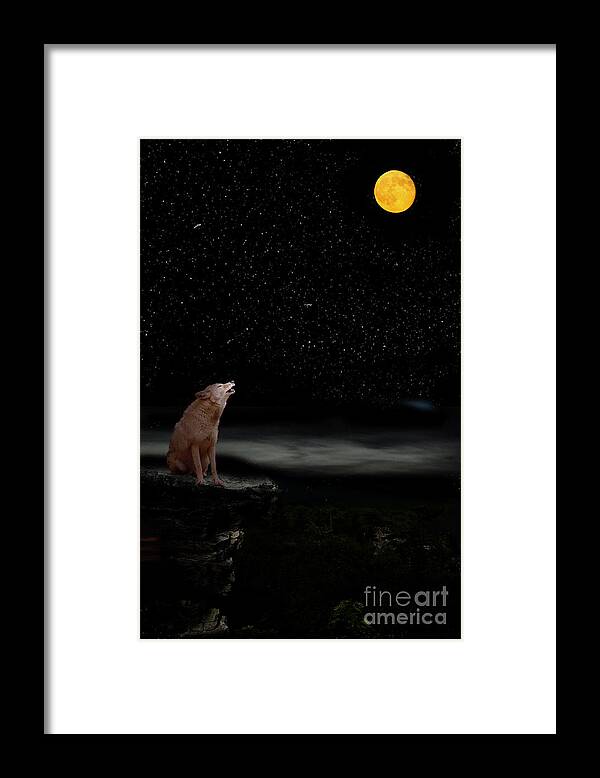 Coyote Framed Print featuring the photograph Coyote Howling At Moon by Dan Friend