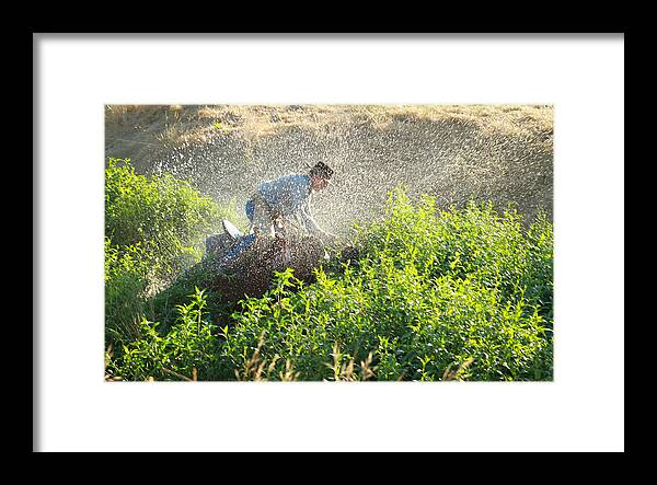 Cowboy Framed Print featuring the photograph Crazy Cowboy by Diane Bohna