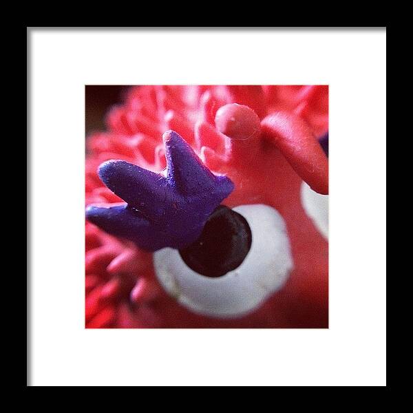  Framed Print featuring the photograph Creature Eye Super Close by Gracie Noodlestein
