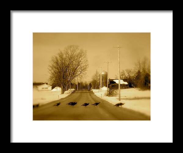 Landscape Framed Print featuring the photograph Crossing by Arthur Barnes