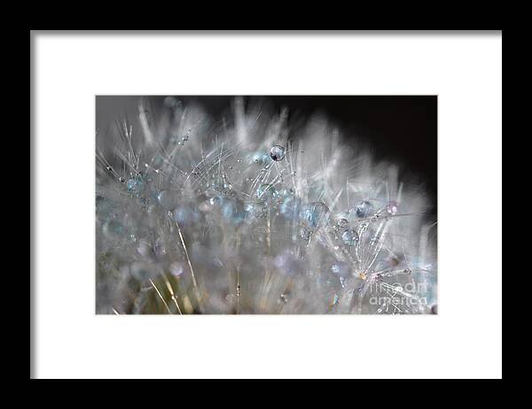 Blue Drops Framed Print featuring the photograph Crystal Flower by Sylvie Leandre