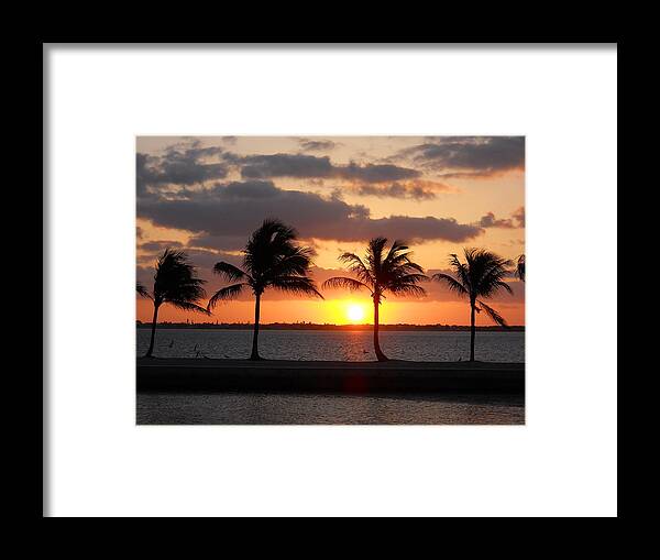 Palm Trees Framed Print featuring the photograph Cudjoe Sunrise by Clara Sue Beym