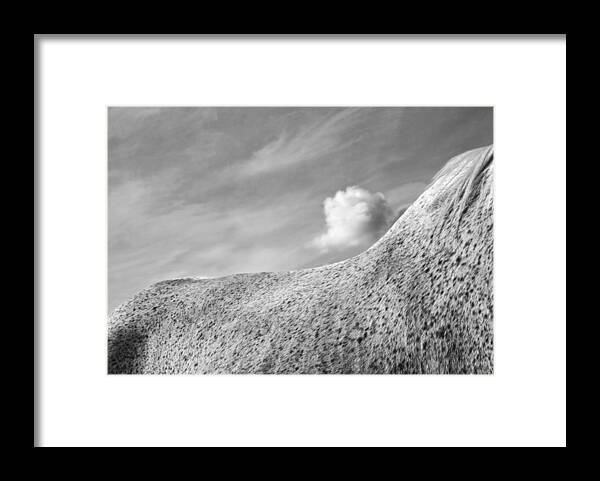 Horse Framed Print featuring the photograph Curves by M Kathleen Warren