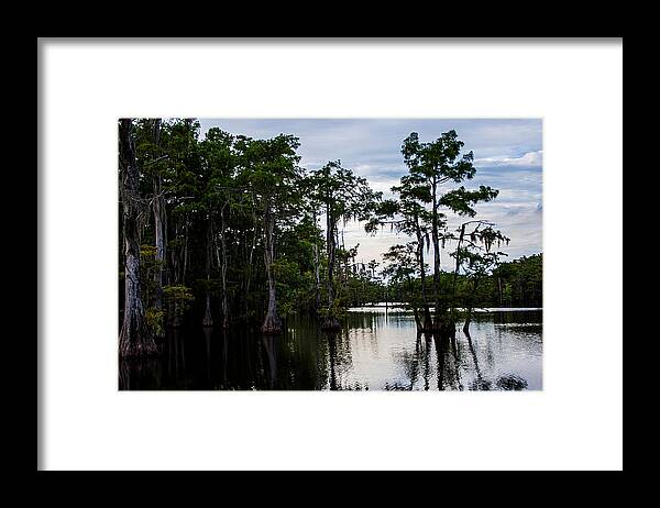 Sunset Framed Print featuring the photograph Cypress Swamp in Louisiana by Ester McGuire