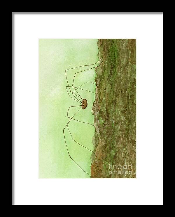 Daddy Framed Print featuring the painting Daddy Long Legs by Jackie Irwin