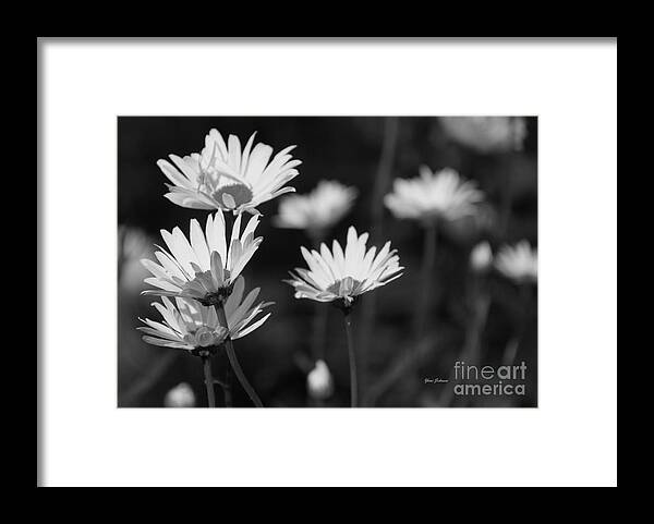 Daisy Framed Print featuring the photograph Daisy in black and white by Yumi Johnson