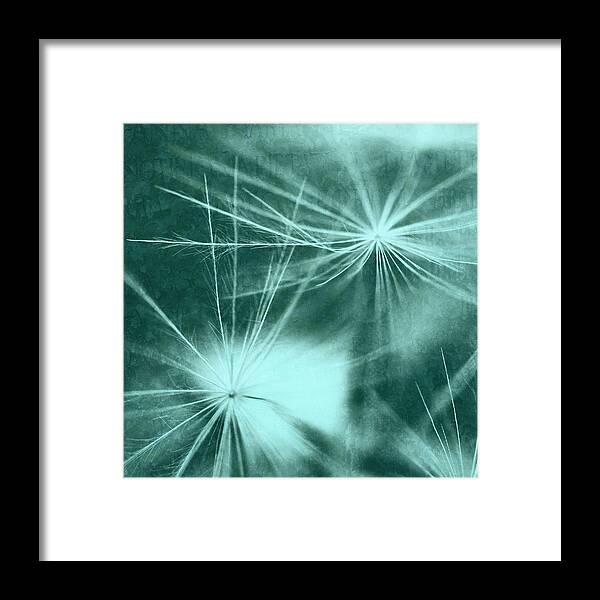 Dandelion Framed Print featuring the photograph Dandelion Art 3 by Falko Follert