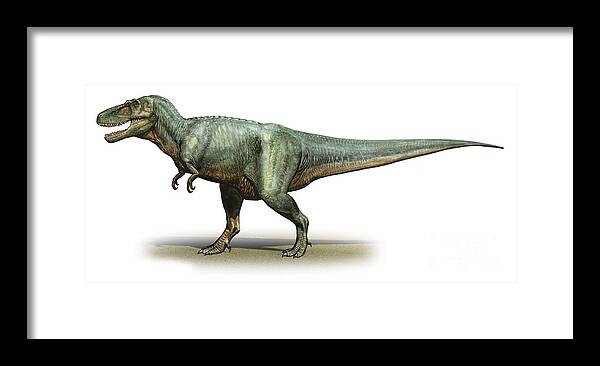 Horizontal Framed Print featuring the digital art Daspletosaurus Torosus, A Prehistoric by Sergey Krasovskiy