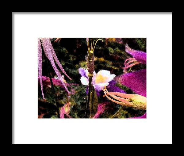  - Very Affordable Cards Are Sold 10 = $ 2.95 Each Framed Print featuring the mixed media day in the garden at PCC     Pasadena City College by Kenneth James