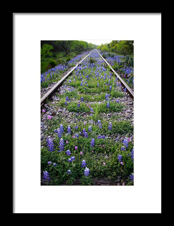 Bluebonnets Framed Print featuring the photograph Days Gone By by Chris Multop