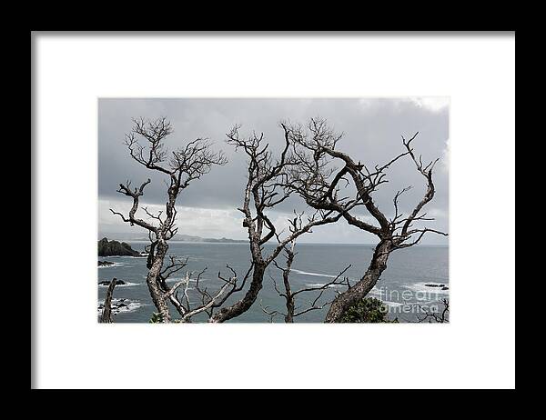 Dead Framed Print featuring the painting Dead Trees by Yurix Sardinelly