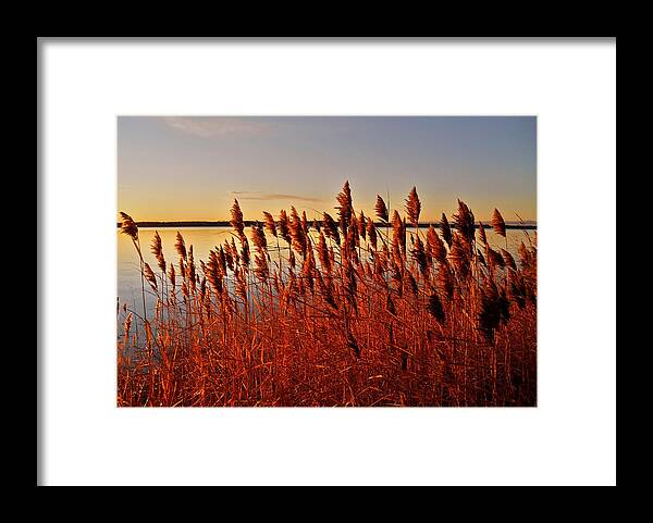 North America Framed Print featuring the photograph December Sunrise ... by Juergen Weiss