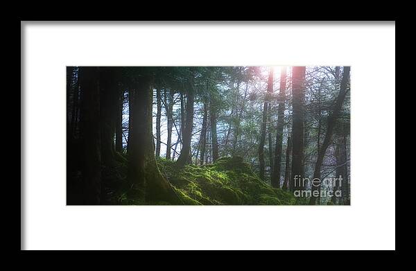 Mystic Wood Framed Print featuring the photograph Deep Forest by Bruno Santoro