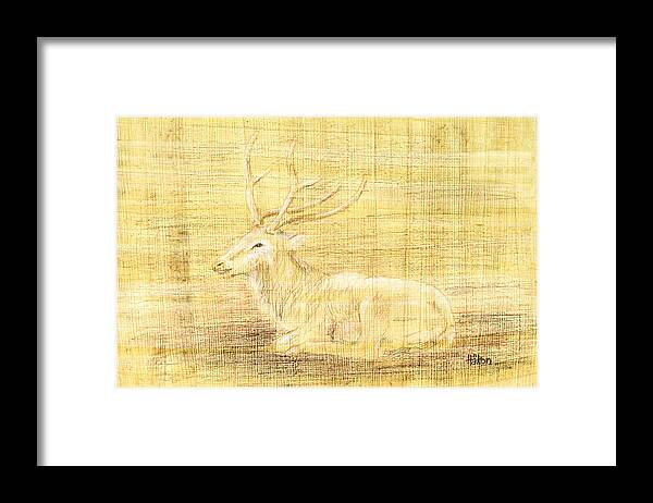 Pencil Framed Print featuring the drawing Deer by Hakon Soreide