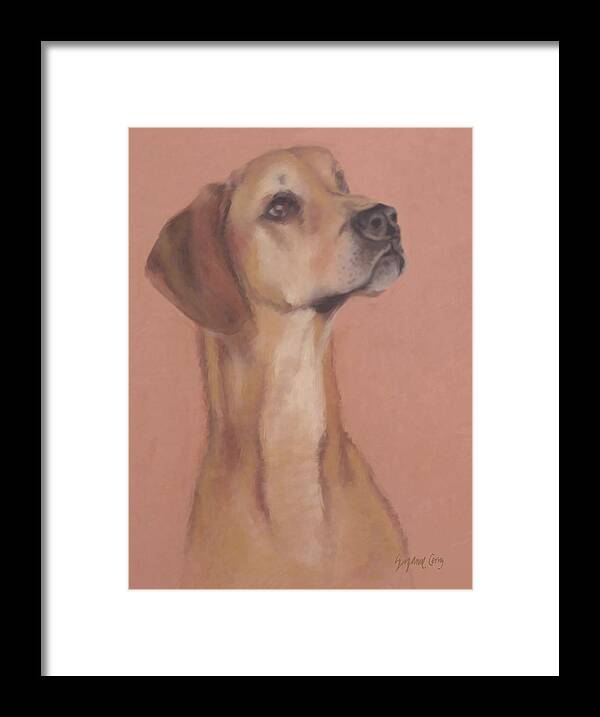 Great Dane Framed Print featuring the pastel Demo the hero dog by Suzanne Giuriati Cerny