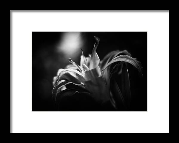 Conceptual Framed Print featuring the photograph Descent of the Spirit by Rebecca Sherman