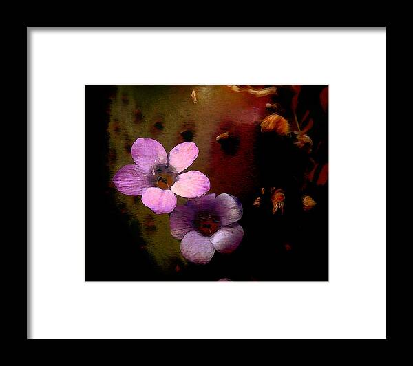 Flowers Framed Print featuring the photograph Desert Flowers by Jim Painter