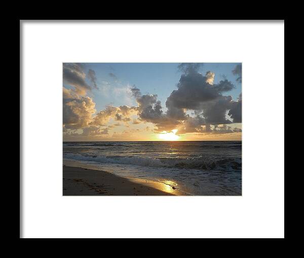 Nature Framed Print featuring the photograph Devotion by Sheila Silverstein