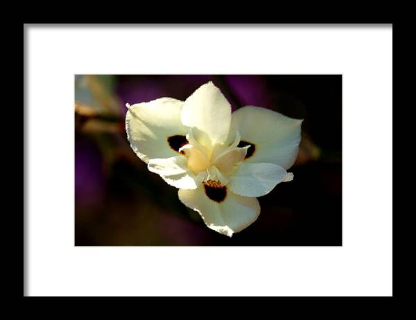 Digital Framed Print featuring the photograph Digi Flower by Karen Scovill