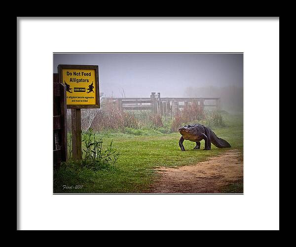 Do Not Feed Framed Print featuring the photograph Do Not Feed by Farol Tomson