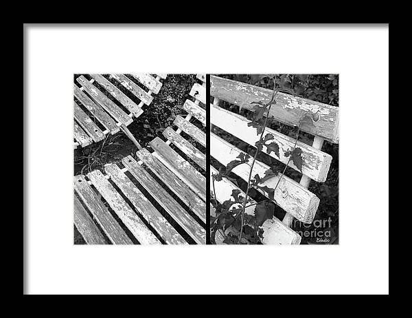 Benches Framed Print featuring the photograph Do You Remember by Eena Bo