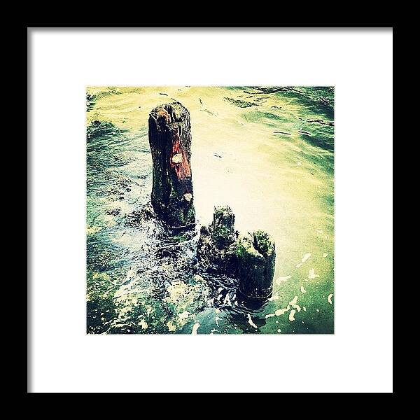 Navema Framed Print featuring the photograph Dock Remnant by Natasha Marco